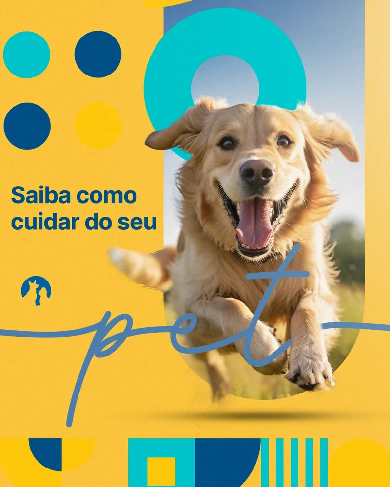 Sequência de posts de pet shop em azul e amarelo